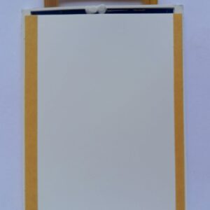 F1 XMOBILE 15PIN 2.4 COMPLETE